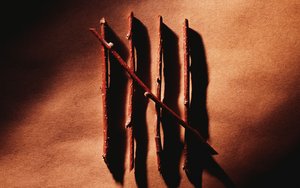 準格爾旗鄂托克旗種驢有限責任公司