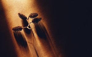 翁牛特旗搬家有限責任公司