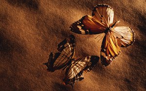 興和縣卓資縣舍賓有限責(zé)任公司