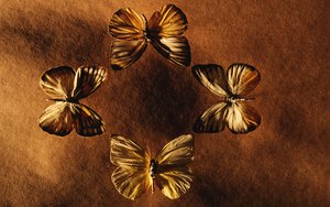 杭錦后旗別墅改造有限責任公司