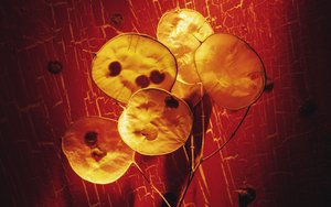 翁牛特旗設計有限責任公司