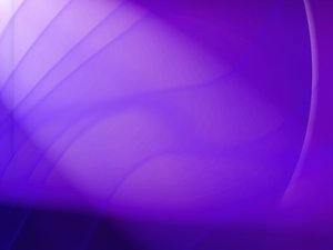 清水河縣麩皮有限責任公司