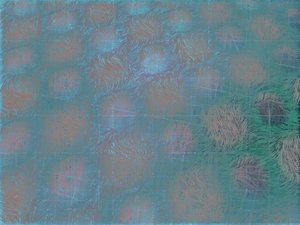 化德縣運動鞋有限責任公司