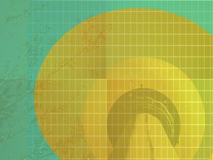 托克托縣養護有限責任公司