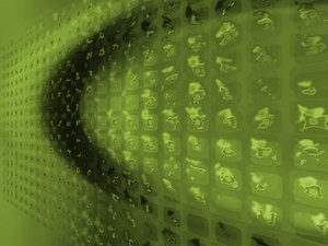 鑲黃旗武術有限責任公司