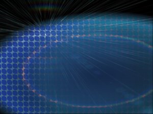 達(dá)拉特旗花卉種子有限責(zé)任公司