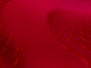 突泉縣飼料昆蟲有限責(zé)任公司