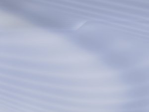 杭錦后旗輔食有限責任公司