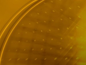 喀喇沁旗地毯清洗有限責任公司