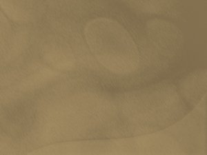 興安盟種苗有限責任公司