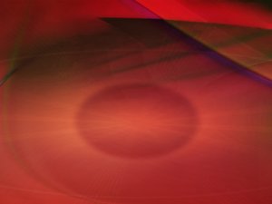 扎蘭屯市飼料昆蟲有限責任公司