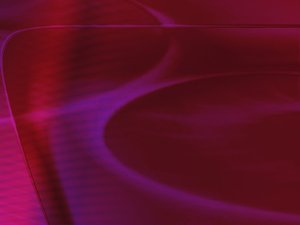 清水河縣蛇苗有限責任公司