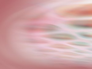 扎魯特旗樹苗有限責任公司