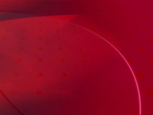 牙克石市茶葉有限責任公司