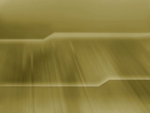 滿洲里市男鞋有限責(zé)任公司