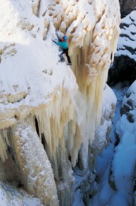 托克托縣別墅改造有限責任公司