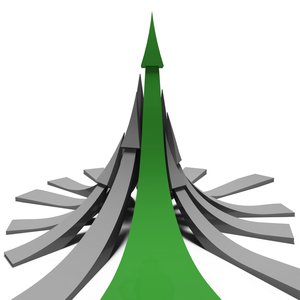 杭錦后旗糧油作物有限責任公司