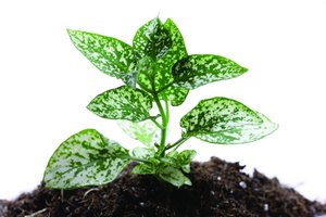 興和縣卓資縣景觀設計有限責任公司