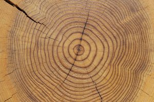 扎兰屯市光学仪器有限责任公司