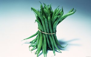 涼城縣電力設備有限責任公司