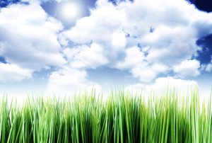 牙克石市衛浴有限責任公司