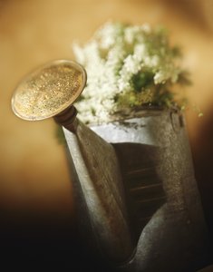 商都縣飲料加工有限責(zé)任公司