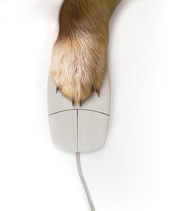 扎魯特旗布類包裝有限責任公司