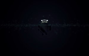 鑲黃旗羽絨加工有限責任公司