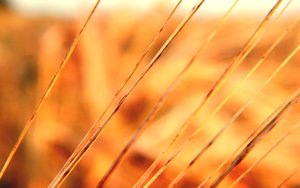 清水河縣土壤耕整有限責任公司