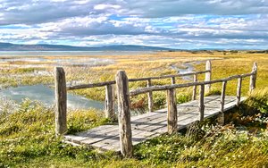 喀喇沁旗種牛有限責任公司