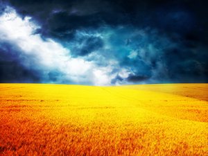 正藍(lán)旗葡萄酒有限責(zé)任公司