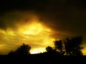 滿洲里市藝考有限責任公司