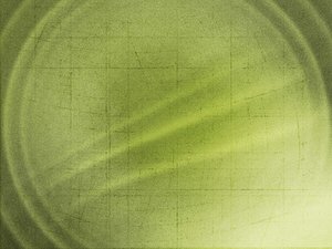 巴林右旗除蟲除蟻有限責任公司