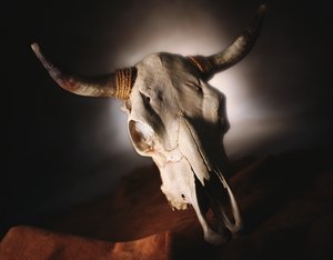 鑲黃旗勞保用品有限責任公司