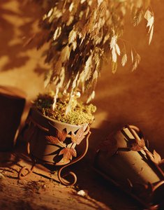 鑲黃旗裝潢設計有限責任公司