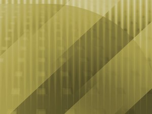 突泉縣水果批發有限責任公司