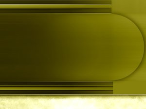 正藍旗皮革加工有限責任公司