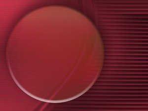 托克托縣農林有限責任公司